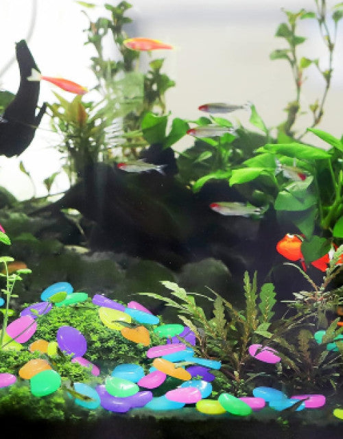 Garden Decor Luminous Stones Glow In Dark Decorative Pebbles Outdoor Fish Tank Decoration ( 160 Pcs )